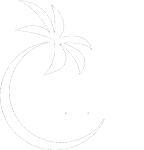 California Media Agency
